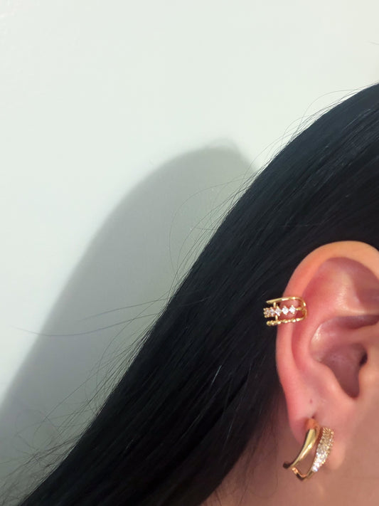 Clip on Earrings + gold plated earrings