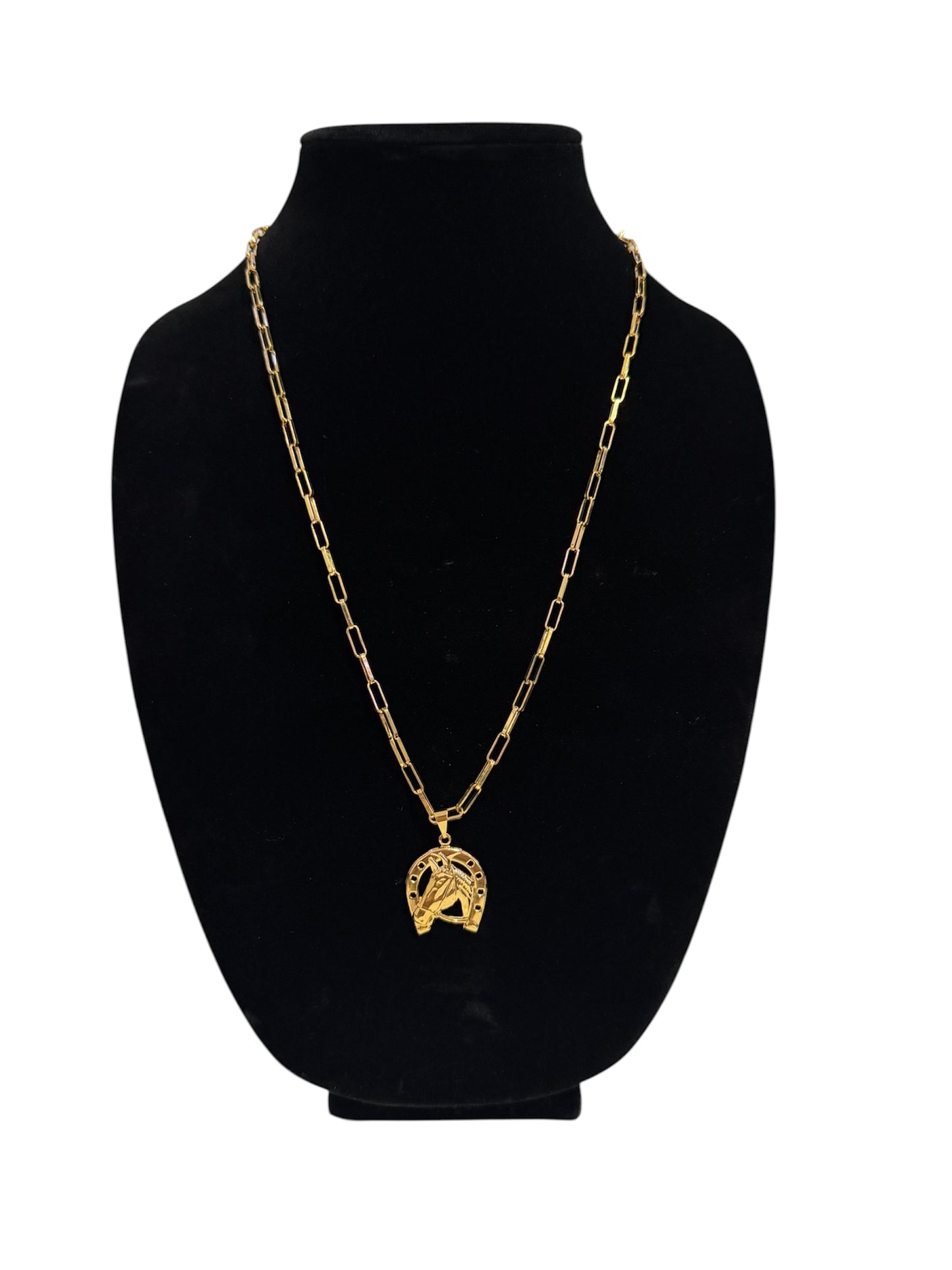 Mens Necklace with Horseshoe Pendant