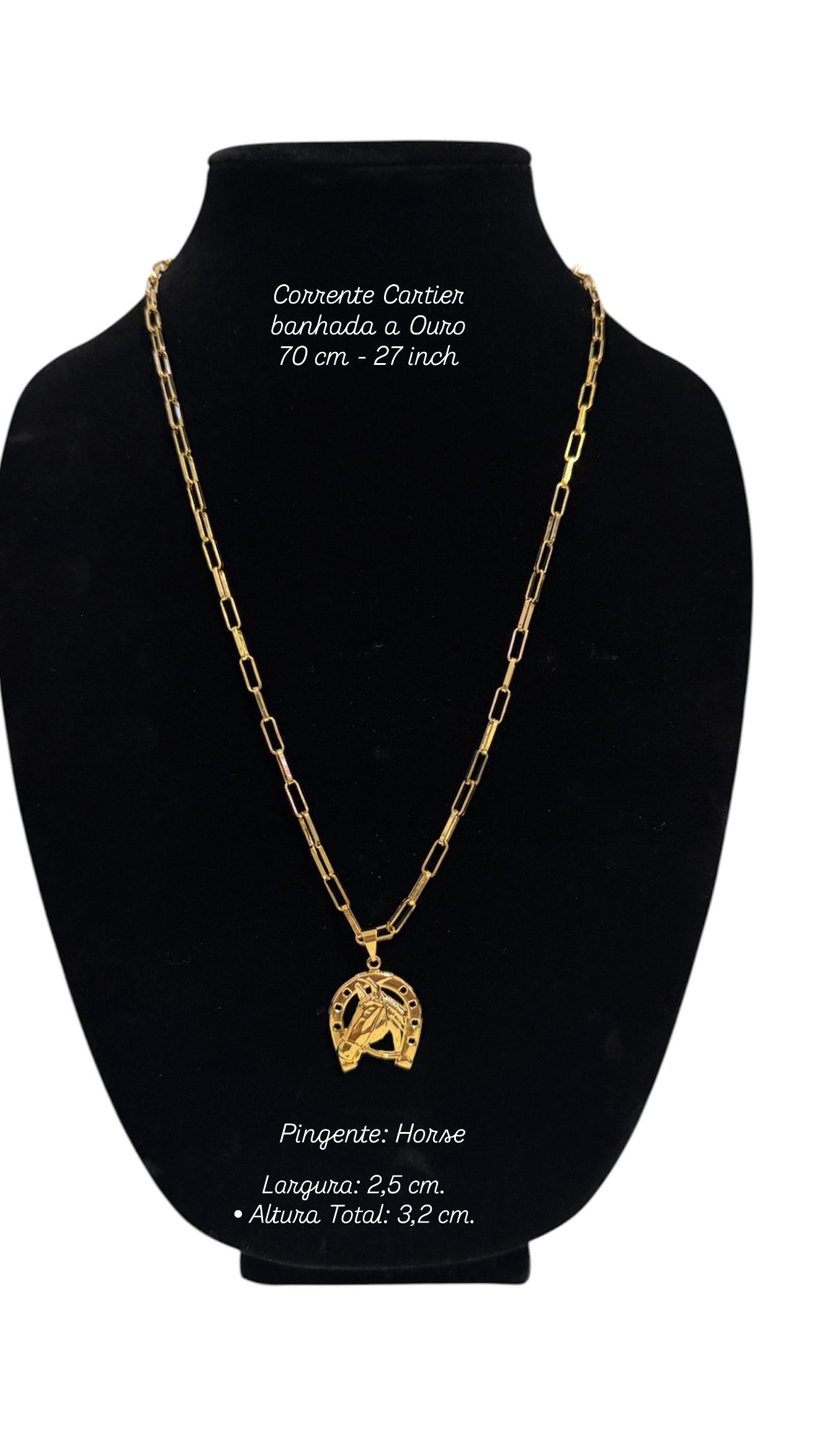 Mens Necklace with Horseshoe Pendant